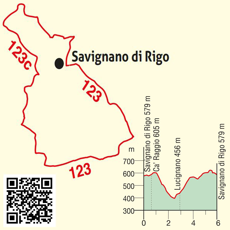Visit Sogliano al Rubicone - Itinerari e Trekking - I Sentieri dell'Alto Rubicone - Nocciolo Centenario - Piantina e QRCode